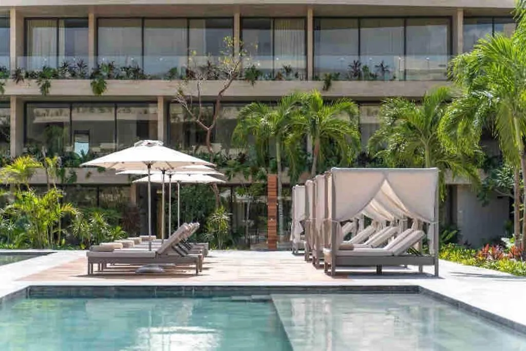 Suite De Lujo, Alberca, Gym, Jacuzzi En Areas Comunes 툴룸 아파트
